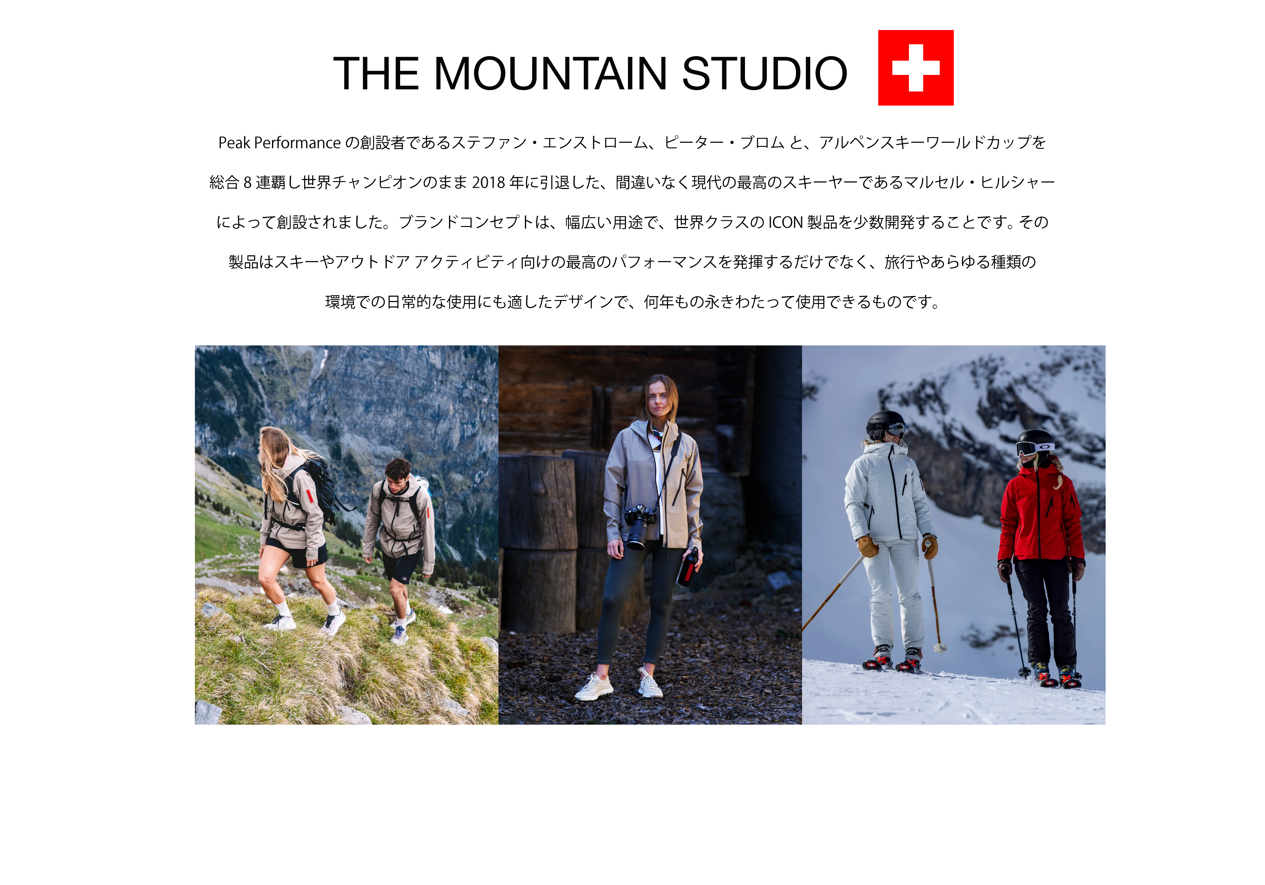 THE MOUNTAIN STUDIO